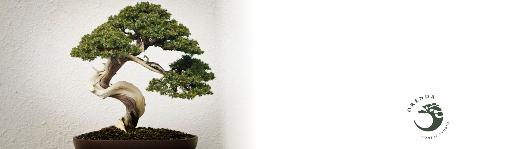 Orenda Bonsai Studio
