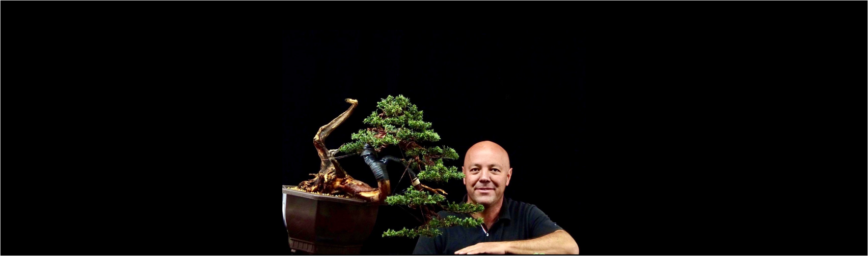 Orenda Bonsai Studio
